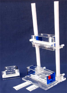 Electrophoresis Slab Gel System
