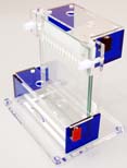 Regular Vertical Slab Gel Electrophoresis System